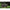 Saltea De Cantarire Pro Line Xtreme Floating Camou