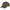 SAPCA BLASER HYBRID HAUKE KAKI