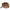 SAPCA BLASER MAGNUS