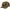 SAPCA BROWNING CAMO RIMFIRE