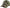 SAPCA JAXON CAMUFLAJ CZ05