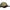 Sapca Prologic Big Chuck Onesize Mudd