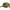 SAPCA PROLOGIC CREEK CAMO ONESIZE CAMO