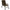 Scaun Avid Marshal Benchmark Leveltech Recliner 42x55cm/105cm