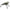Scaun Mivardi Camo Code