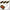 Set Cos Method Feeder Carp Zoom Fanatic 20-25-30gr