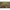 Set Korda 5 Monturi Pb Pierdut Clay