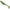 SHAD BASS ASSASSIN TURBO SHAD SWEET PEA 10CM 10BUC/PLIC