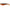 SHAD BERKLEY POWERBAIT PULSE SHAD 11CM TIGER PRAWN