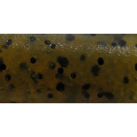 Shad Biwaa Venum Tail 10cm 05 Green Pumpkin