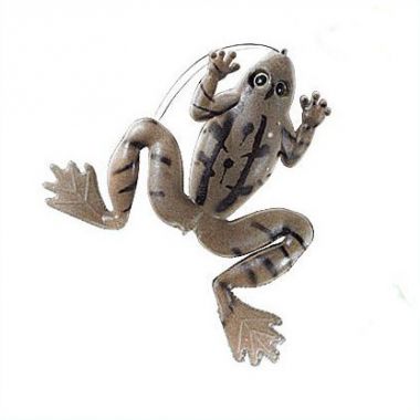 SHAD JAXON BROASCA CU CIRLIG BX 7GR