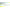Shad Jaxon Extreme Soft Drop Shot 2f 13.5cm