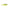 Shad Manns 4.5cm  Culoare Mchbb 10buc/plic