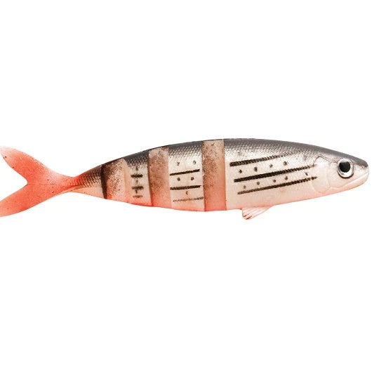 Shad Rapture Aromat Swimmy 12cm Tiger