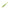 Shad Rapture Power Shad Dual 11.5cm Apple Mint