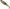 SHAD SAVAGE GEAR CRAFT CANNIBAL OLIVE PEARL SILVER SMOLT 10.5CM 12G 4BUC/PLIC