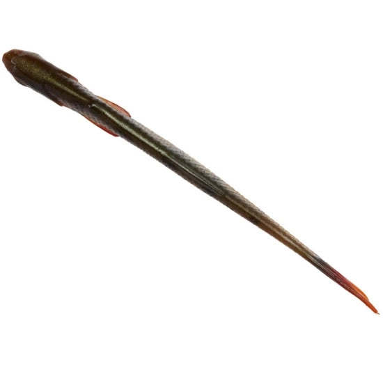 Shad Savage Gear Craft Dying Minnow Perch 10cm 5.5g 5buc/plic