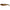 SHAD SAVAGE LB CANNIBAL 8CM/5G GLITTER BUG 4BUC/PL
