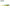 Shad Spro Iris Pop Eye 14 Cm Firetiger