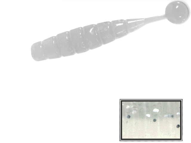 SOCCER SHAD COLMIC 6cm SILVER WHITE