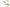 SPINNER BAIT SEBILE PRO SHAD FINESSE 90mm - 14gr -  NTY - FIRETIGER