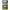 STARLETI SPRO NEON GLOWSTICK CLIP ON L