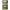 Starleti Spro Neon Glowstick Clip On M
