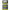 Starlita Varf Lanseta Feeder Spro Starlete Neon Green Size S