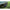 Sac De Dormit Carp Spirit Magnum 5 Season Standard, 220x95cm