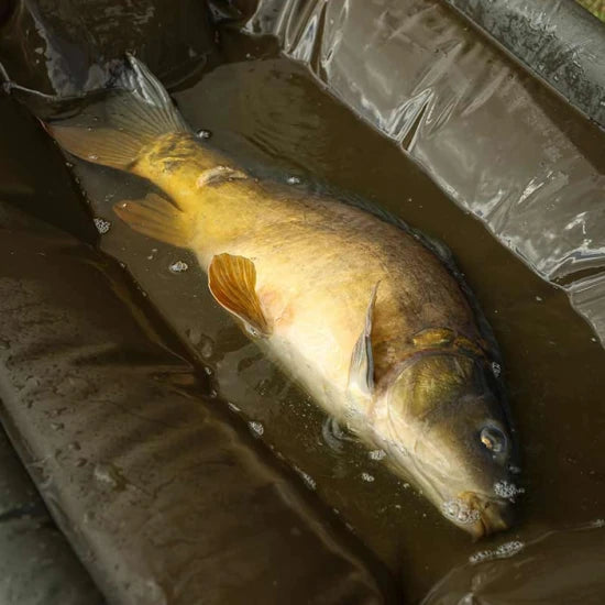 Saltea Receptie Fox Carpmaster Welded Cradle 126x78cm