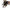 Saltea De Pastrare / Cantarire Nash Failsafe Retainer Sling, Standard, 100x46x41cm