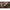 Saltea De Primire Fox Camolite Welded Flat Mat With Sides, 115x55x20cm