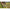 Saltea De Primire Korum Progress Roll Mat