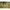 Saltea De Primire Korum Progress Roll Mat