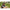 Sapca Avid Carp Distortion Dark Camo Hybrid