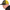 Sapca Black Cat Trucker Cap, Black-Yellow