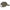 Sapca Mainline Carp Cap, Green, Marime Universala