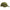 Sapca Nevis Verde
