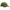 Sapca Nevis Verde