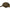 Sapca Prologic Buzzers Cap Onesize Olive Green
