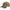 Sapca Sauer Camo Reed 904
