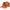 Sapca Sauer Orange Leaf