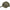 Sapca Savage Gear Catch One Size Olive Green Melange