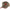 Sapca Trakker Flexi Fit Cap, Brown