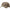 Sapca Winchester Guns 94 Mobuc