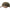 Sapca Winchester Guns Provo Kaki