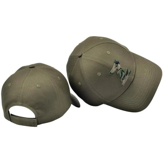 Sapca Zfish Cap, Green