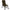 Scaun Avid Marshal Benchmark Leveltech High-Back Recliner 42X55cm/115cm