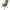 Scaun Carp Academy Deluxxe Camo, 55x45x75cm