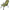 Scaun Carp Academy Giant Camo, 52x52x65cm